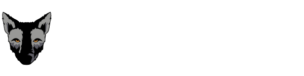 Wolf Network Security logo
